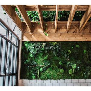 preserved green wall / modular-panel / natural / indoor