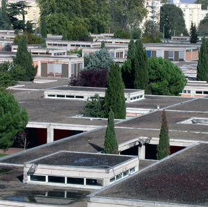 roll waterproofing membrane / for roofs / PVC / synthetic