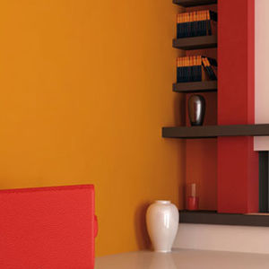 decorative paint / for walls / interior / acrylic