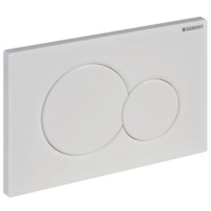 toilet flush button