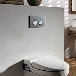 toilet flush button