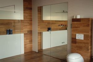 interior door / swing / glass / aluminum