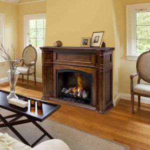 wood-burning fireplace insert