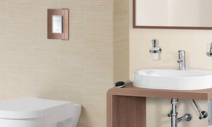 toilet flush button