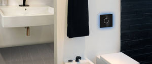 toilet flush button