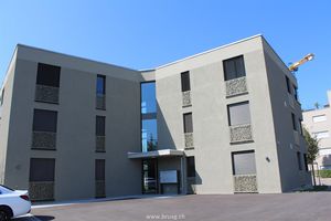 wood fiber railing / HPL / with panels / balustrade