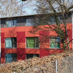 ventilated facade cladding / in wood fiber / smooth / colored