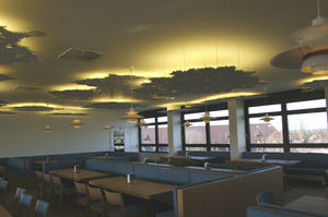 wooden acoustic panel / for false ceilings / perforated / for public buildings