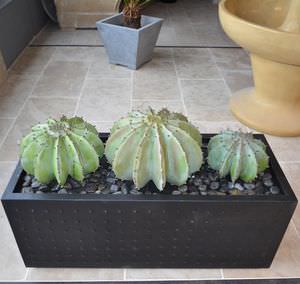 metal planter / rectangular / contemporary