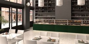counter warmer display case / with wells / for shops