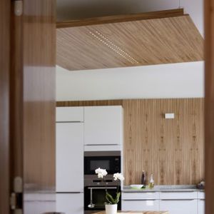 wall acoustic panel / for ceilings / for partition walls / for interior
