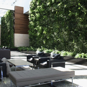 stabilized green wall / natural / indoor / outdoor