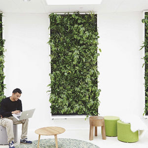 stabilized green wall / natural / indoor / modular-panel