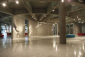 silhouette wall sticker / for public buildings / vinyl / signage