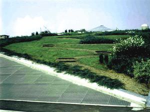 ground improvement soil mixing