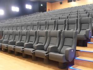 polyurethane cinema seating / black