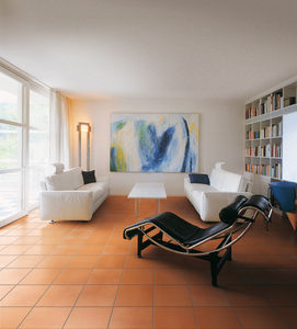indoor tile / outdoor / floor / terracotta