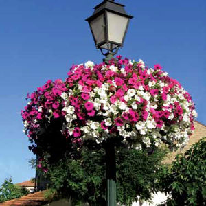 polyethylene planter / contemporary / for public spaces