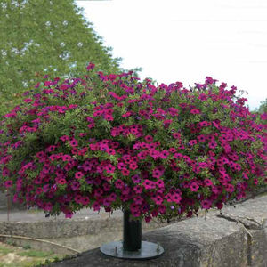 polyethylene planter / contemporary / for public spaces