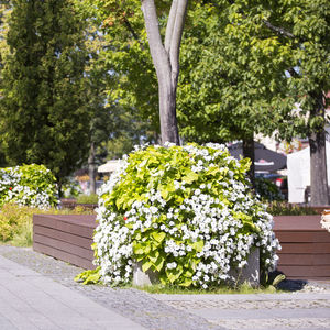 galvanized steel planter / round / contemporary / for public spaces