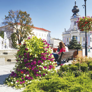 galvanized steel planter / round / contemporary / for public spaces