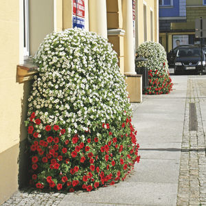 galvanized steel planter / contemporary / for public areas