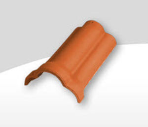 edge roof tile / clay