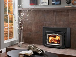 wood-burning fireplace insert