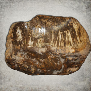 countertop washbasin / petrified wood / rustic style