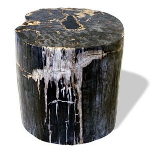 contemporary stool / petrified wood / commercial / outdoor
