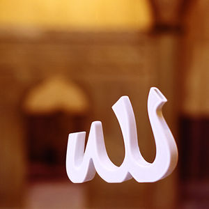 original design vase / porcelain / by Karim Rashid