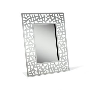 polished stainless steel frame