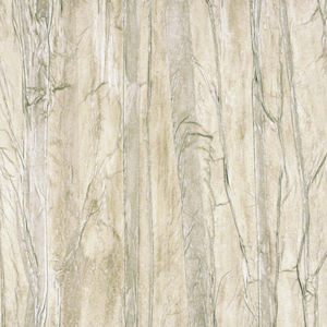 contemporary wallpaper / patterned / wood look / textured