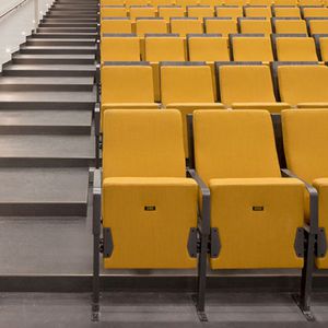 contemporary auditorium seating / fabric / plywood / leather