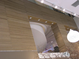 wooden wall cladding / interior / grooved / sound-absorbing