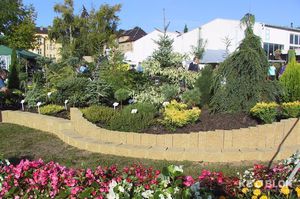 garden edge / concrete / rectangular