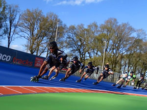 synthetic flooring / for athletic fields / roll / smooth