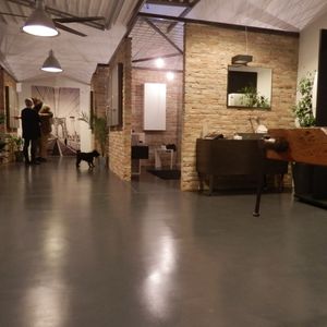 decorative coating / floor / epoxy / for concrete