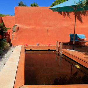 in-ground swimming pool / wooden / custom / with natural filtration