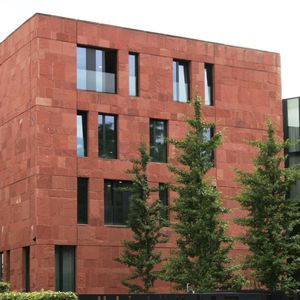 sandstone wall cladding / exterior / decorative