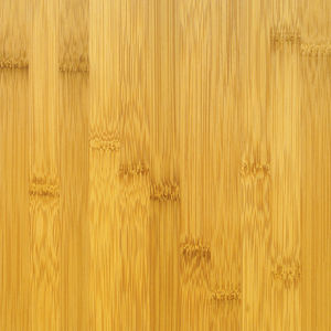 bamboo veneer