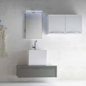 bathroom base cabinet / wall-mounted