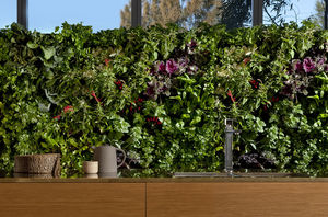 indoor green wall / outdoor / modular