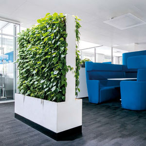 indoor green wall