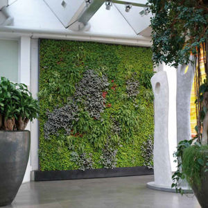 indoor green wall