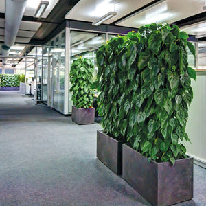 indoor green wall / modular