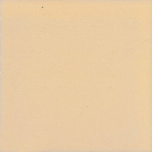 indoor tile / wall / floor / terracotta