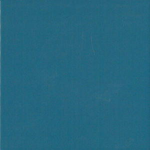 indoor tile / wall / floor / terracotta