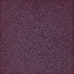 indoor tile / wall / floor / terracotta