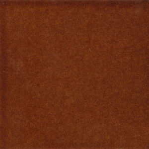 indoor tile / wall / floor / terracotta